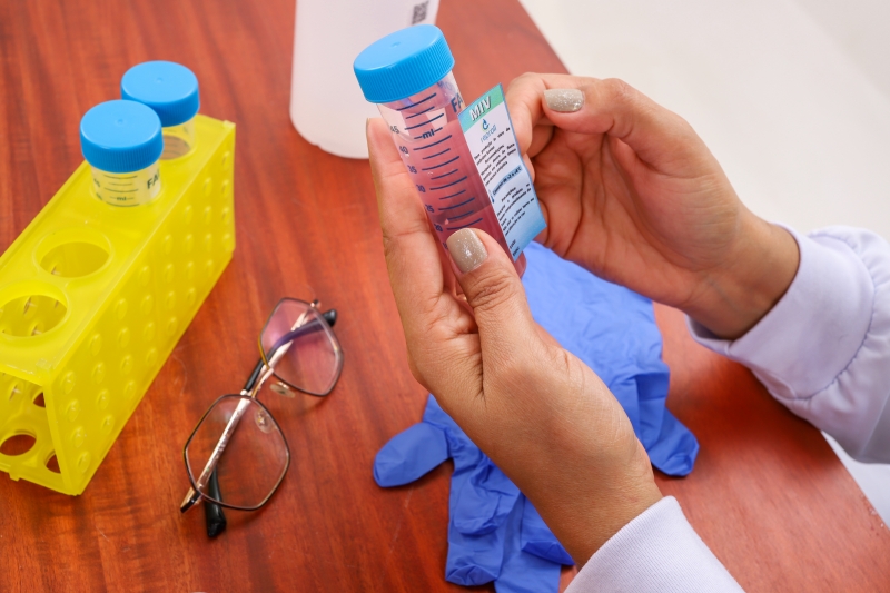 Galeria nosso-dia-a-dia